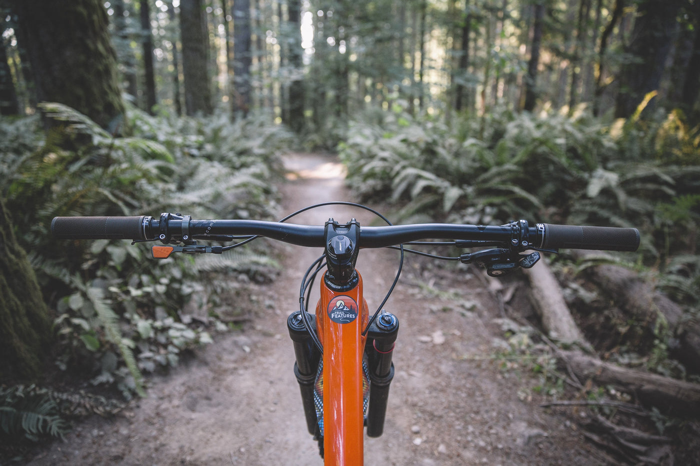 DEVELOPING THE LOAM LEVER