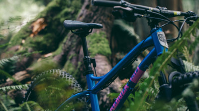 PNW Components Introduces the Fern Dropper Post