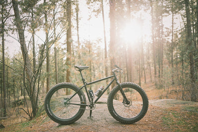 BIKE RUMOR REVIEW OF THE PINE