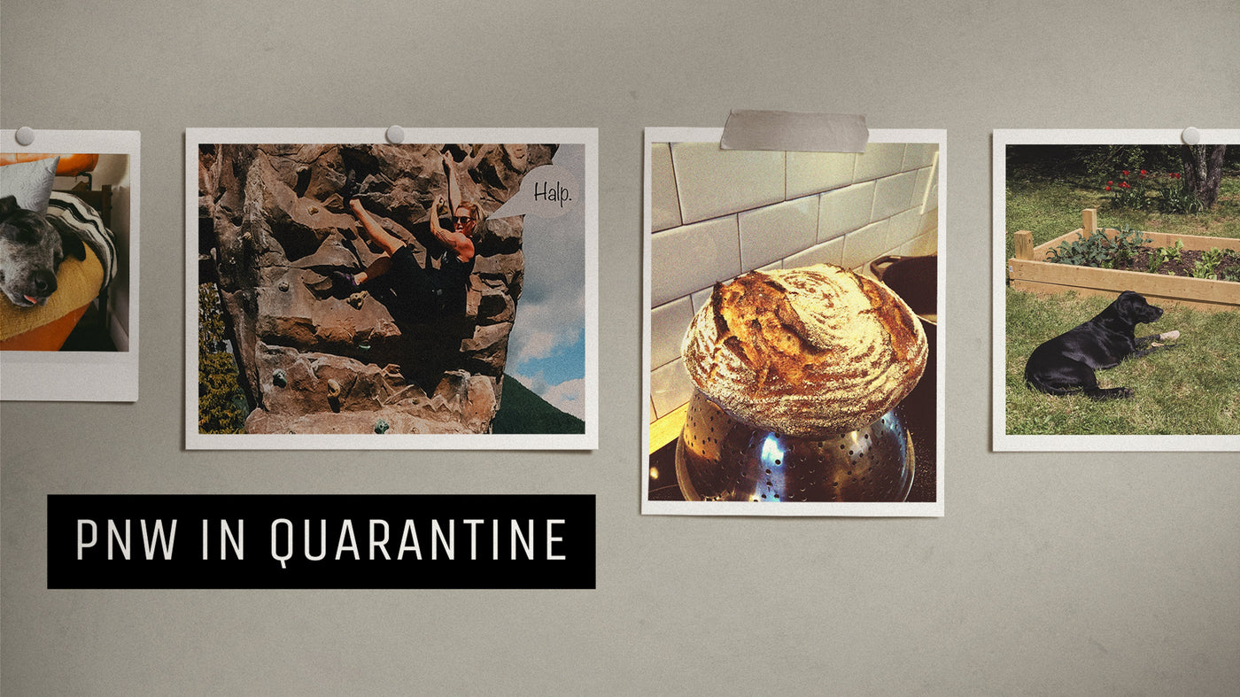 PNW and The Quarantine: Part II